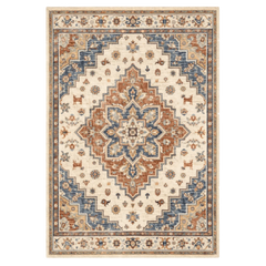 Decorative area rug with intricate pattern on a white background