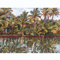 Kochi Backwaters 4 - Giclee Art Print