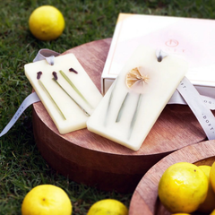 Lemon Grass & Clove Wax Tablet - Set of 2, tablets on round wooden board on grass with fresh lemons and box