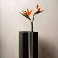 A modern black and brushed silver cylindrical vase holding two orange bird of paradise flowers, set against a textured light gray wall.