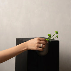 Hand placing a green plant on a unique designed black Bookcase Vase