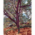 Chichogi Village Art Print