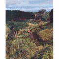 A Walk Through Horton Plains Art