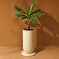 Loam Planter