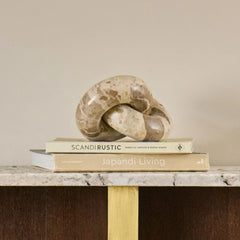 Koru Chain, a polished knot sculpture in beige and brown stone sits on top of two books, displayed on a marble-topped side table.