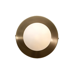 A wall-mounted sconce with a frosted glass diffuser and a brass round backplate.