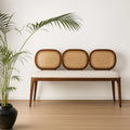 Lira Teakwood Cane Bench