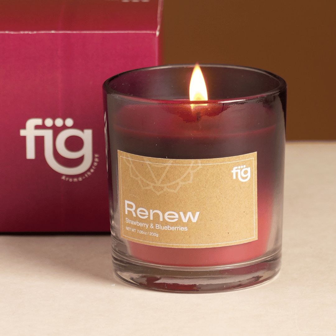 Renew Berries Vegan Scented Candle by Fig Living