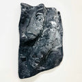 Marbled echos