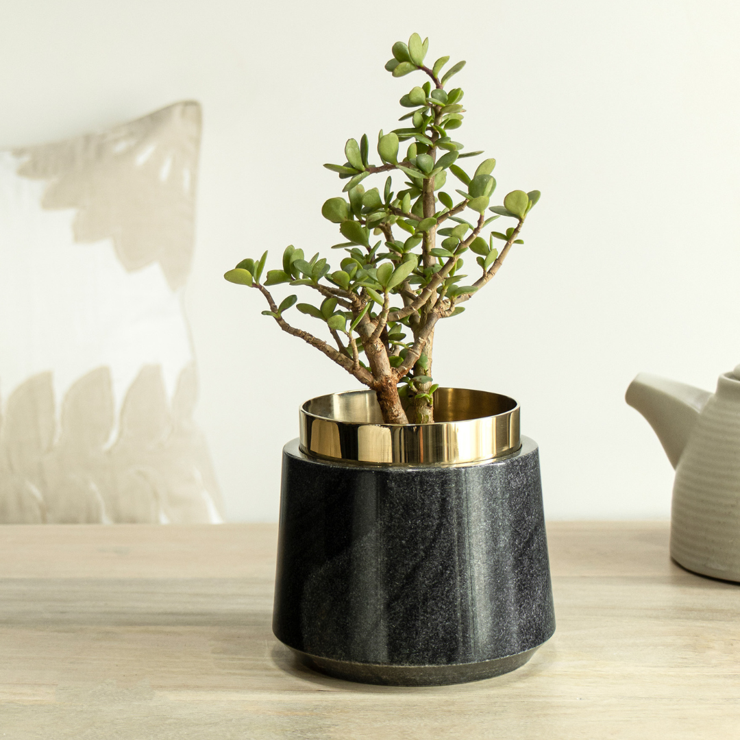 black marble plant pot Shop Oronoir Tabletop Planter Online – Black Marble & Brass Gold Steel – The Living Influence