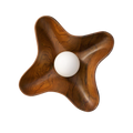 Compass Wall Light