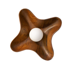 Compass Wall Light in brown antique finish with glass shade