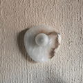 Aureole Wall Light Cream-Toned