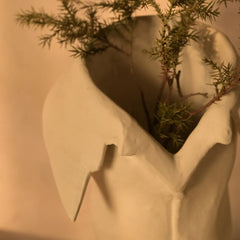 Collar-shaped solis vase with a plant against a beige background
