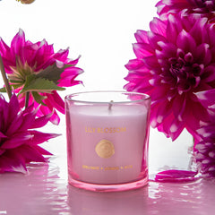 Votive Candle in pink glass jar labeled 'LILY BLOSSOM' sits on a glossy white surface, surrounded by large magenta flowers and a few scattered petals.