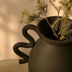 Unique black Asteria Vase with a plant against a warm-toned wall