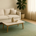 Ombré Rug