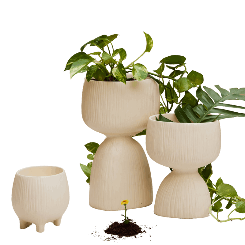 organic plant pots Aden Organic Planter – The Living Influence
