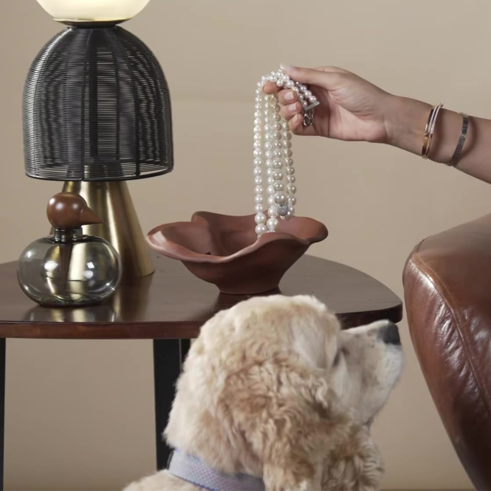 Coffee Table Duo | Chirp Glass Jar & Kai Bowl Gift Box