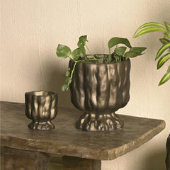 Two bronze planters having small and large size with green plants on a wooden surface