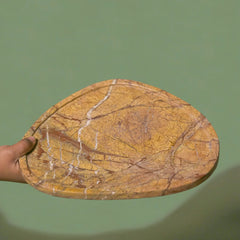 Hand holding a large, oval-shaped stone with leaf-like patterns against a green background