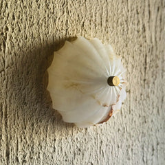 Side look of decorative Spiral Alabaster Wall Light by Kasto Design