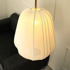 primary overhead light to create a soft, calming ambiance in your Living / lounge