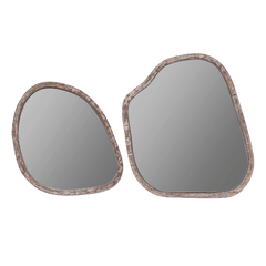 Amoeba Mirror