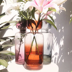 Tinted Glass Vase Grande in all the colors
