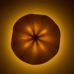 Camellia Ceiling Light lit from below, glow radiating through ceramic folds