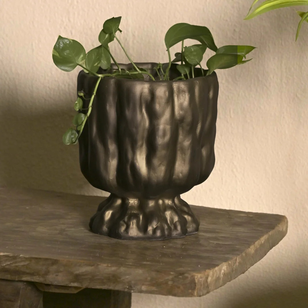 Decorative bronze planter with a plant on a wooden surface