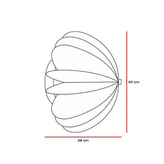 Line drawing of a Daisy Wall light with dimensions