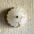 Spiral Alabaster Wall Light