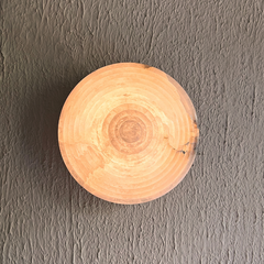 Alabaster Wall Sconce light casting soft, diffused glow on walls