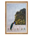 The Mughal Garden