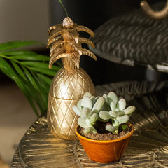 Gold pineapple-shaped decorative votive next to a potted succulent on a textured surface.