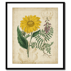 Botanical Repertoire III