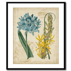 Botanical Repertoire II