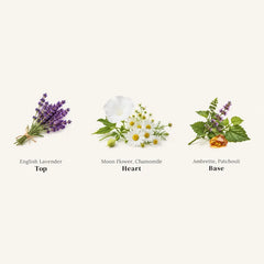 Dream - Calming & Relaxing Perfume Room Spray - Top, Heart & Base Notes Chart: Lavender, Moonflower, Chamomile, Ambrette & Patchouli