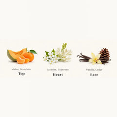 Zeph - Bold & Sophisticated Perfume Room Spray - Top, Heart & Base Notes Chart: Melon, Mandarin, Jasmine, Tuberose, Vanilla & Cedar