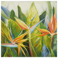 Bird of Paradise I