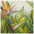 Bird of Paradise II