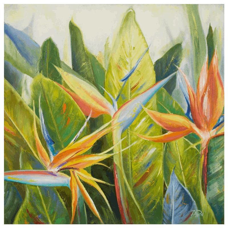 Shop Art  Shop Artwork  Shop Tropical Art  Shop Wall Art  Shop Tropical Art Prints  Shop Framed Artwork  Shop Painting  Shop Tropical Paintings  Shop Wall Decor  Shop Decorative Art  Nature Art Prints  Multicolor Wall Art  Colorful Artwork  Floral Art