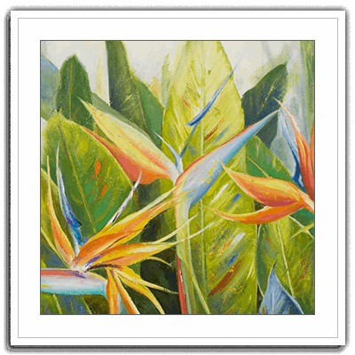 Shop Art  Shop Artwork  Shop Tropical Art  Shop Wall Art  Shop Tropical Art Prints  Shop Framed Artwork  Shop Painting  Shop Tropical Paintings  Shop Wall Decor  Shop Decorative Art  Nature Art Prints  Multicolor Wall Art  Colorful Artwork  Floral Art