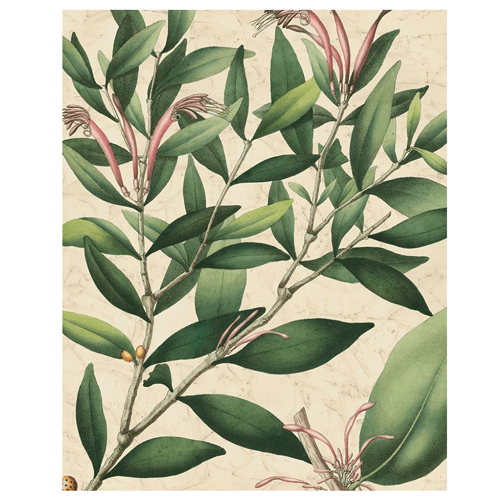 Botanic Beauty II