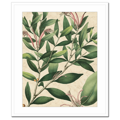 Botanic Beauty II