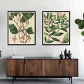 Botanic Beauty Wall Art Set (Set of 2)