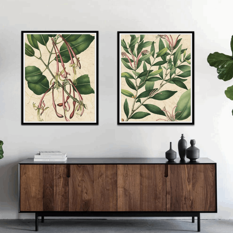 Two framed botanical art prints above a wooden cabinet with decorative vases.