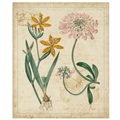 Botanical Repertoire I