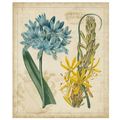 Botanical Repertoire II